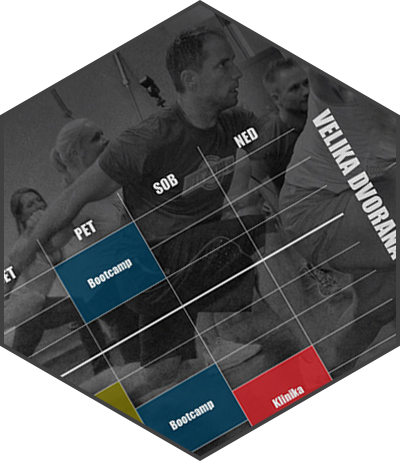 FITZONE - Urnik vadb
